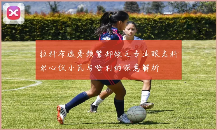 拉科布选秀频繁却缺乏专业眼光科尔心仪小瓦与哈利的深意解析